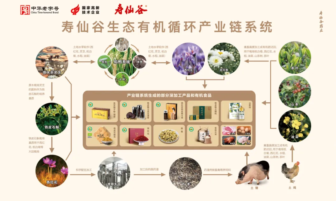 浙江EMC易倍医药股份有限公司
